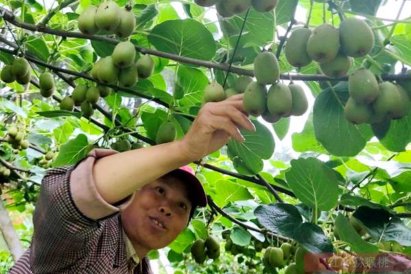 湖南長(zhǎng)沙炎農(nóng)生物科技有限分司王中炎