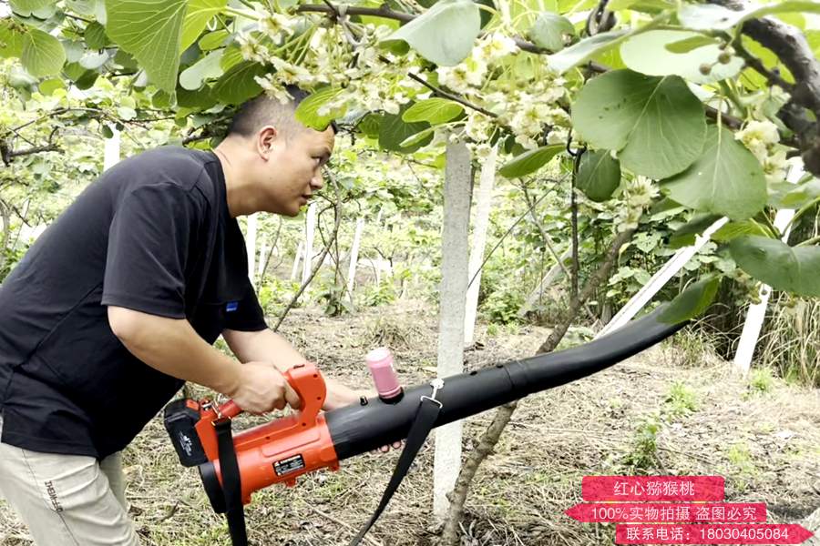 新型高效的獼猴桃授粉工具