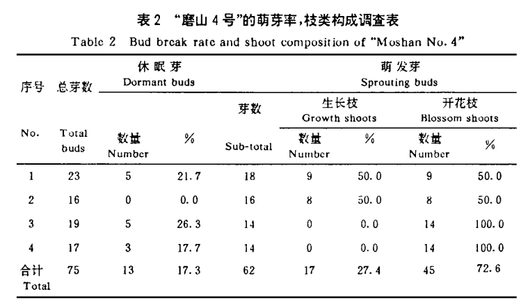 磨山4號獼猴桃