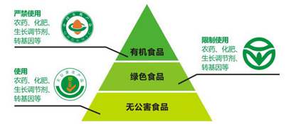 貴州遵義有機獼猴桃基地